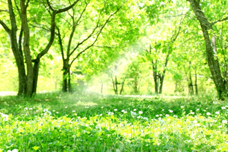 透視リーディング・チャネリング養成講座